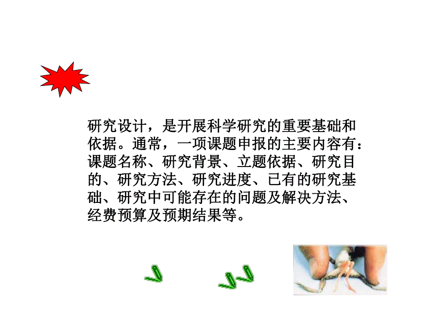 现代毒理学实验设计幻灯片(10.19).ppt_第2页