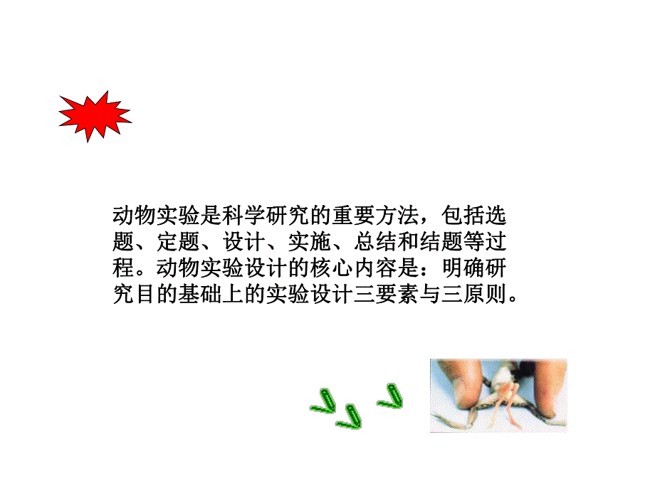 现代毒理学实验设计幻灯片(10.19).ppt_第3页