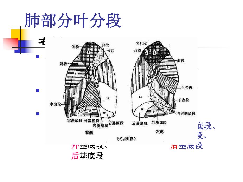 大叶性肺炎的影像诊断精要.ppt_第3页