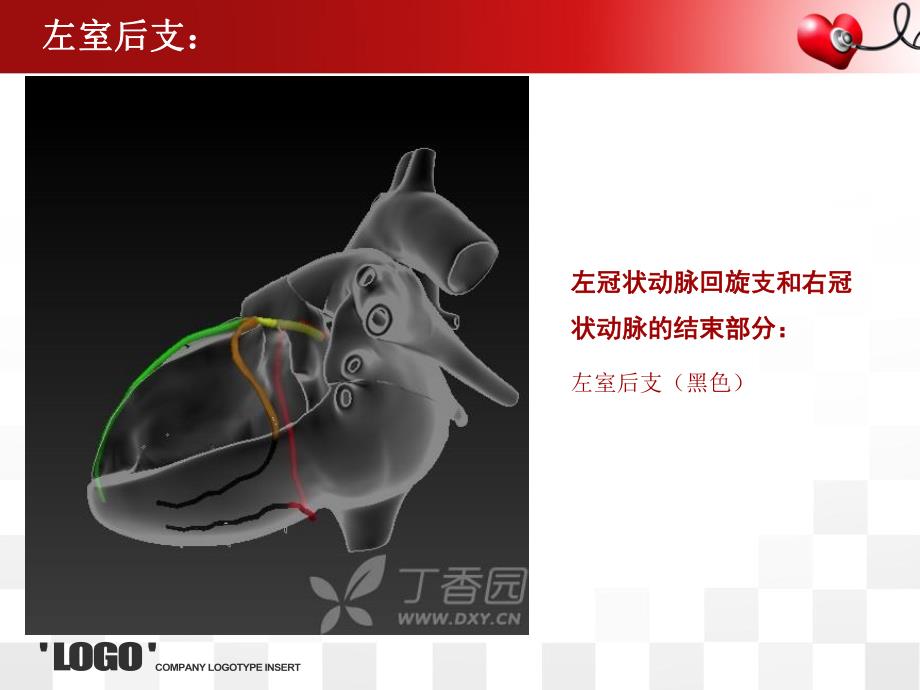 心脏的血管解剖ppt.ppt_第3页