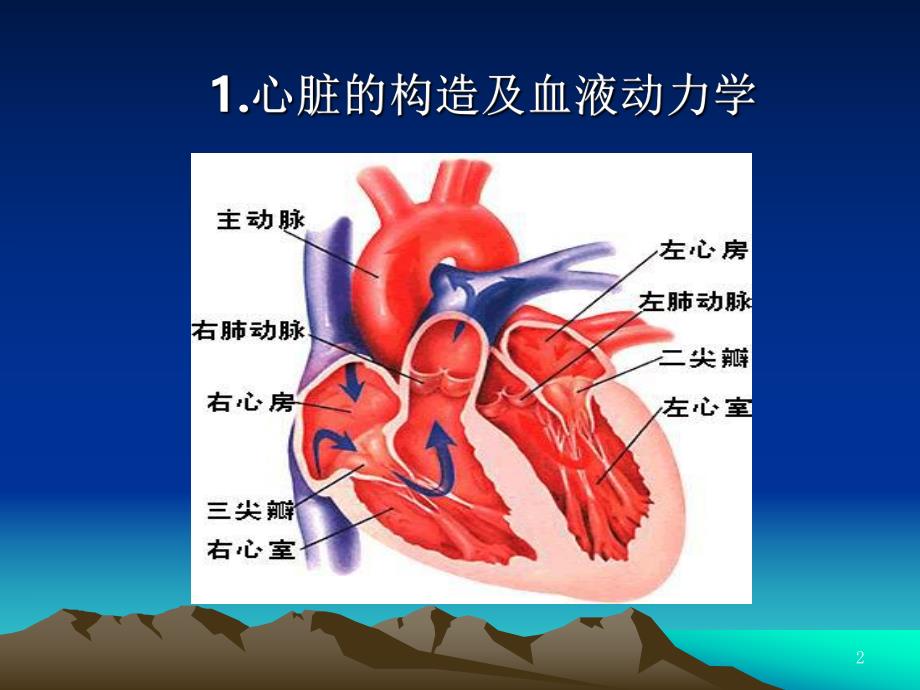 常规心电图识别.ppt_第2页