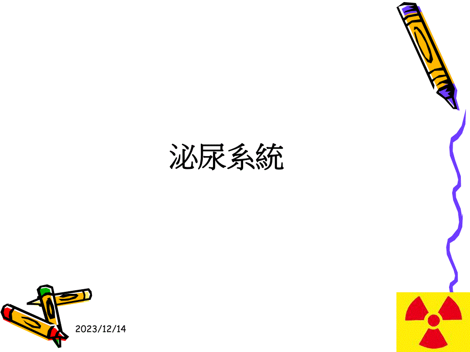 泌尿系统解剖及其影像检查方法.ppt_第1页