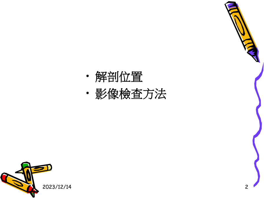 泌尿系统解剖及其影像检查方法.ppt_第2页