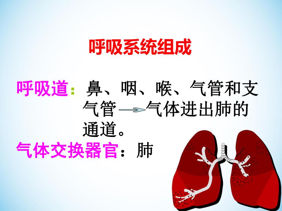 呼吸系统生理解剖.ppt_第2页