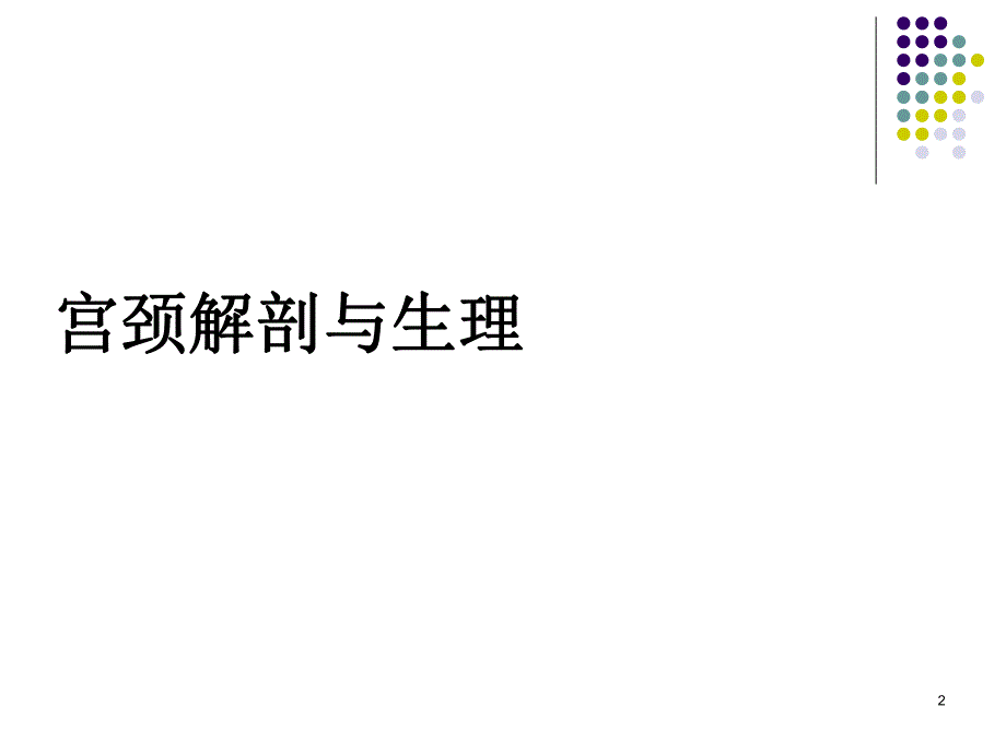 宫颈病变的认识及防治.ppt_第2页