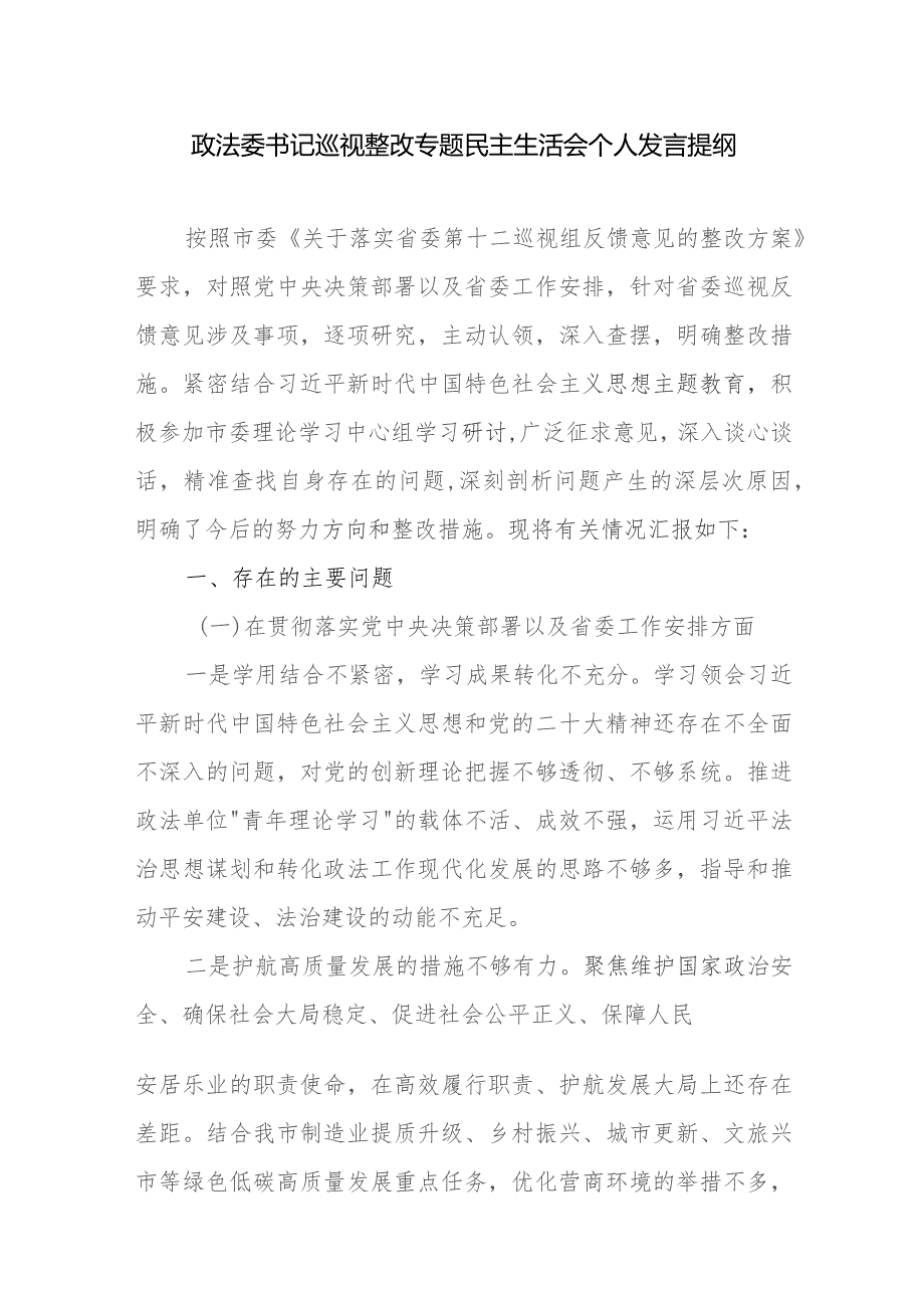 政法委书记巡视整改专题民主生活会个人发言提纲.docx_第1页