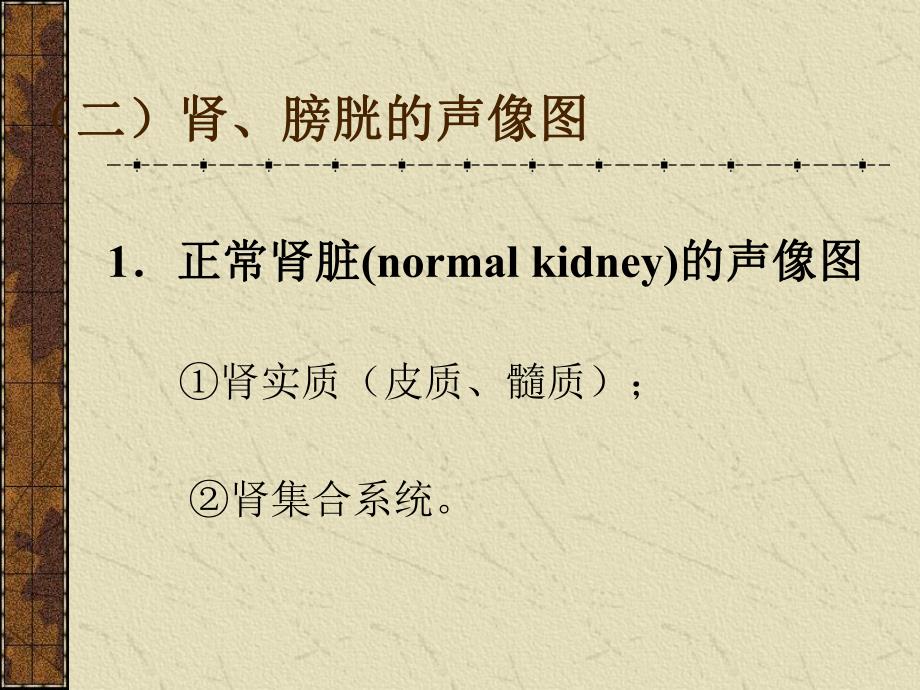 泌尿系统的超声诊断.ppt_第3页