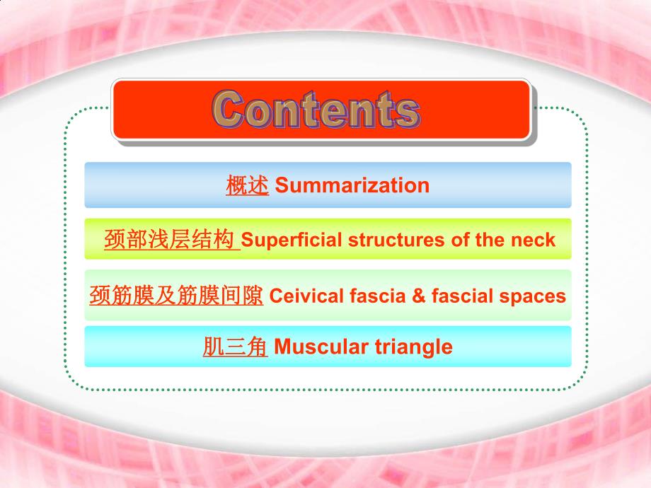 局部解剖颈部(学习资料).ppt_第2页