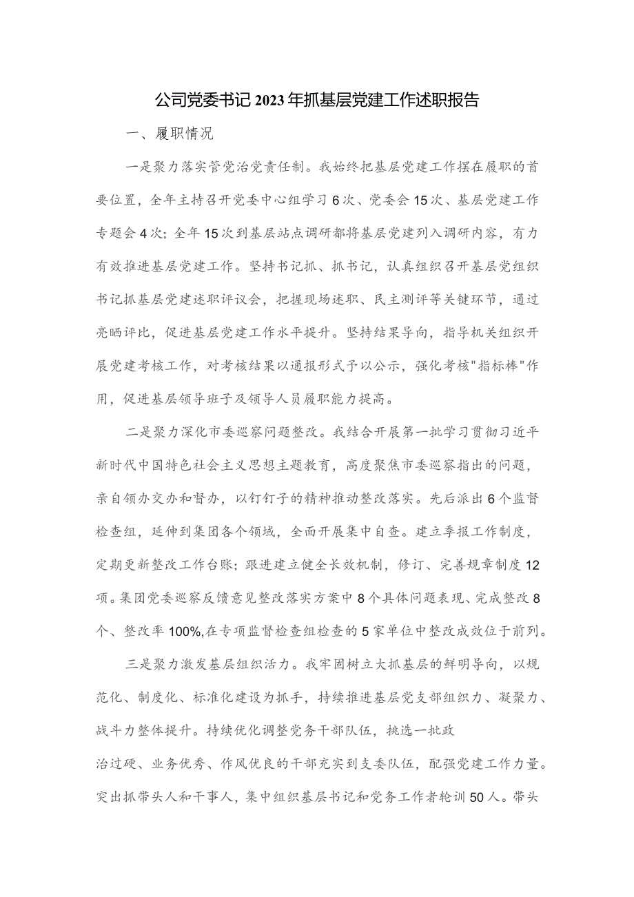 公司党委书记2023年抓基层党建工作述职报告.docx_第1页