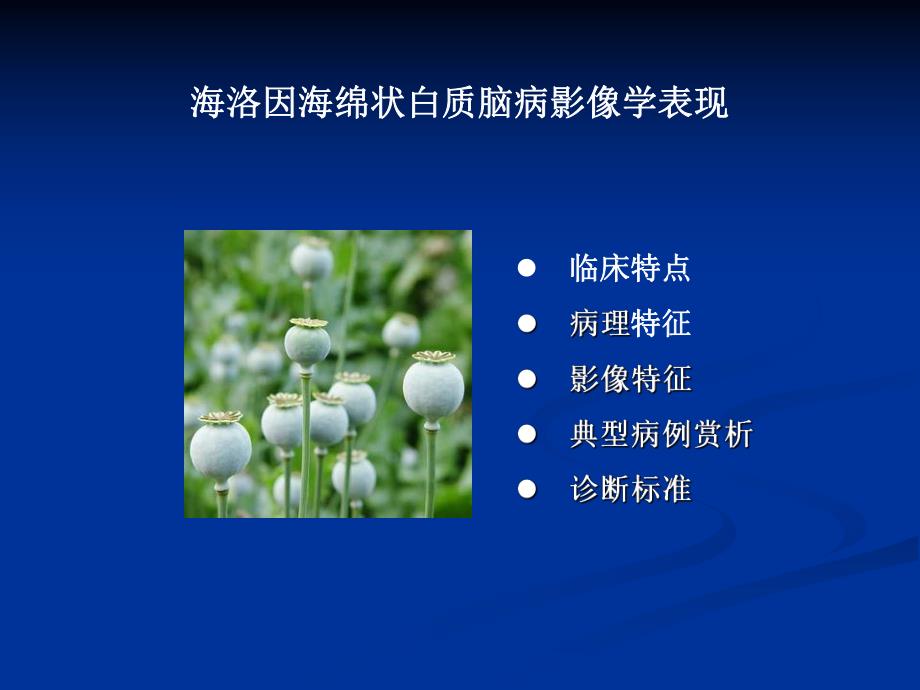 海洛因中毒性脑白质病影像学表现.ppt_第2页