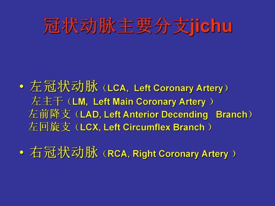 冠状动脉解剖与介入.ppt_第3页