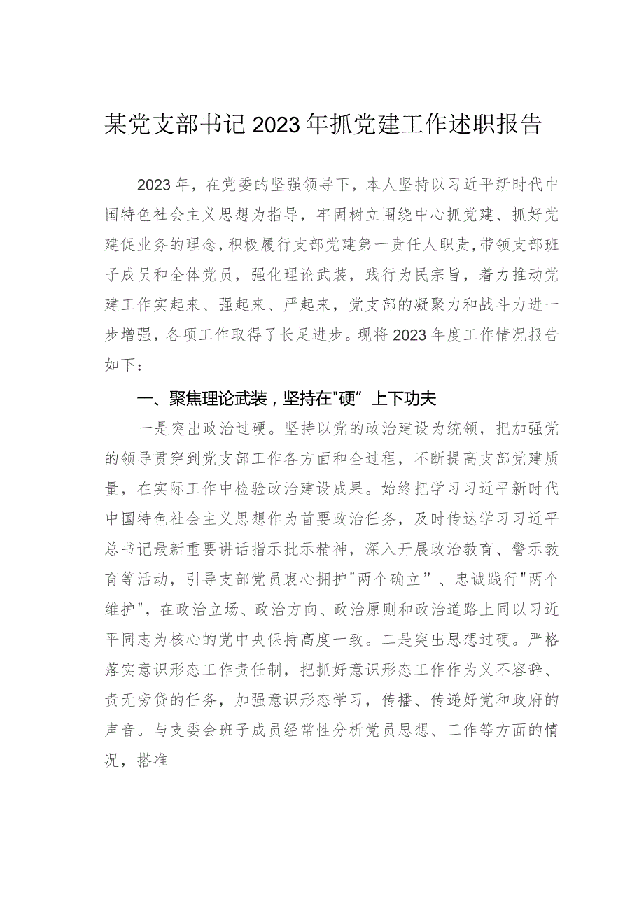 某党支部书记2023年抓党建工作述职报告.docx_第1页