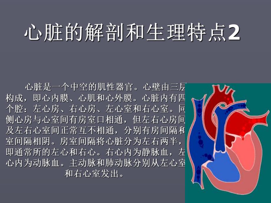 心脏超声讲义.ppt_第2页