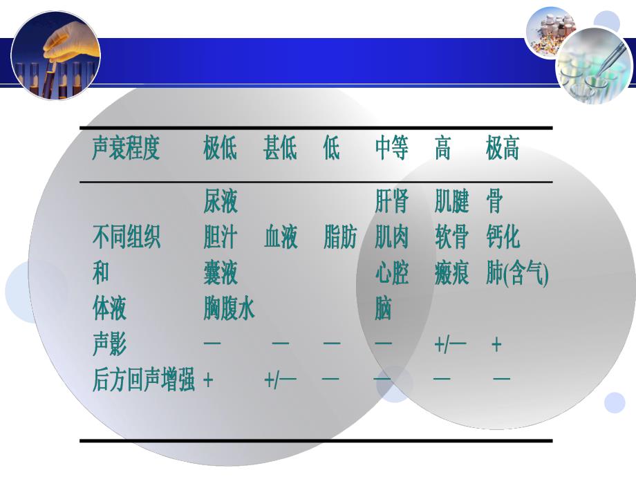 肝脏疾病超声诊断.ppt_第2页