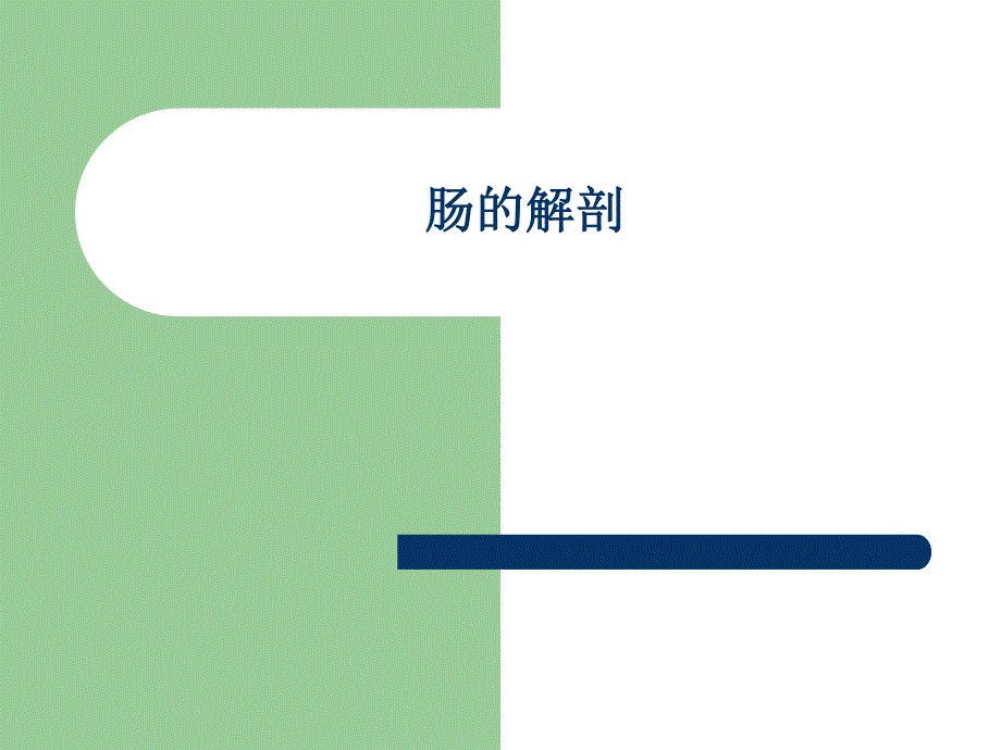 肠的解剖ppt.ppt_第1页