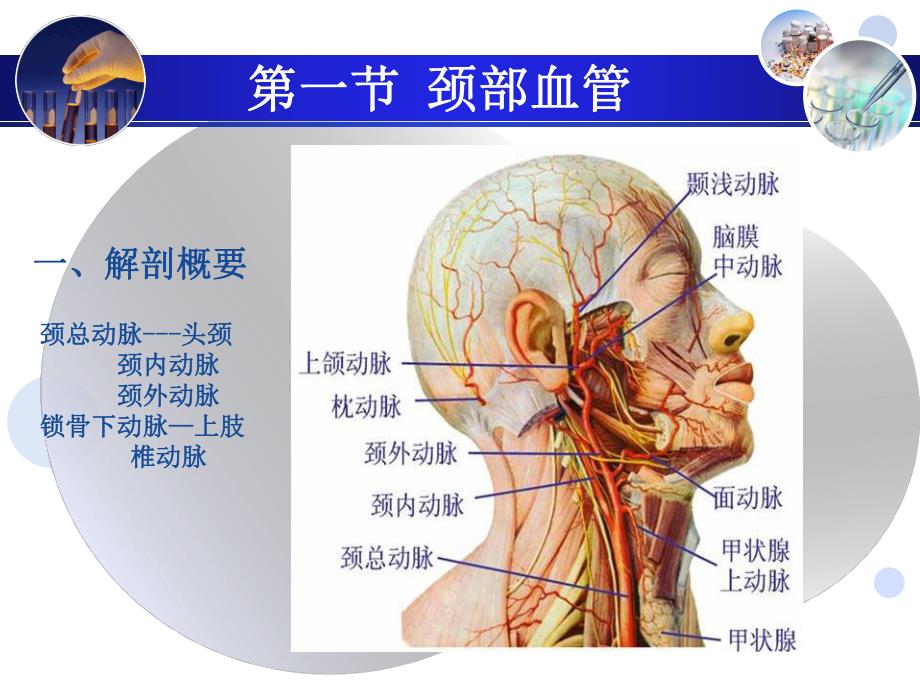 第十五章血管超声诊断.ppt.ppt_第3页