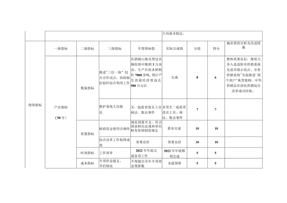 预算支出绩效自评表.docx_第2页