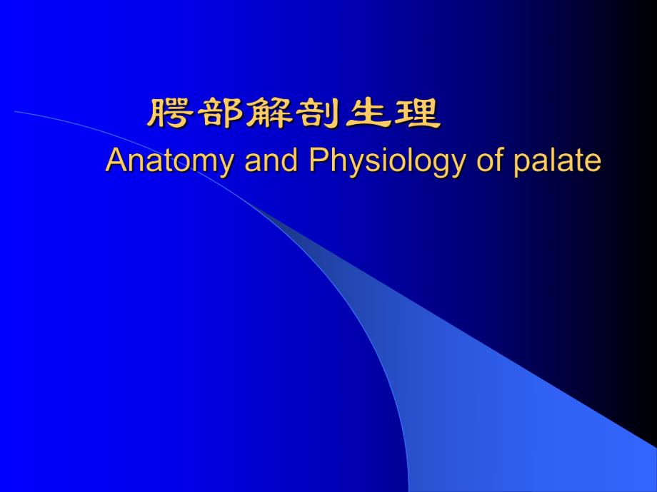 腭部解剖.ppt_第1页