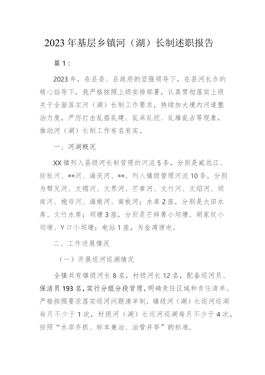 2023年基层乡镇河（湖）长制述职报告3篇.docx_第1页