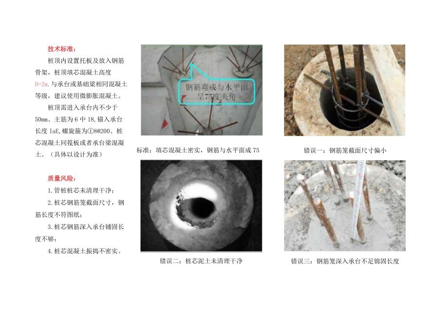 预应力管桩填芯技术措施.docx_第2页