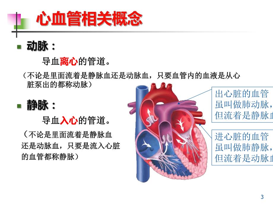 高血压性心脏病的超声诊断要点[定稿].ppt_第3页