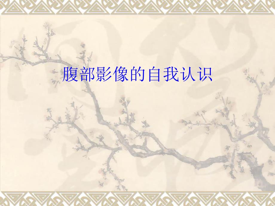 腹部影像的自我认识.ppt_第1页