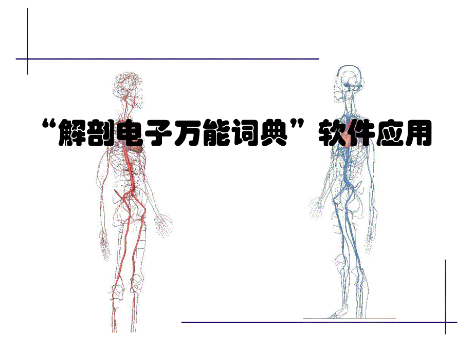 解剖电子字典.ppt_第1页