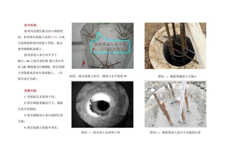 管桩填芯施工技术标准.docx_第2页