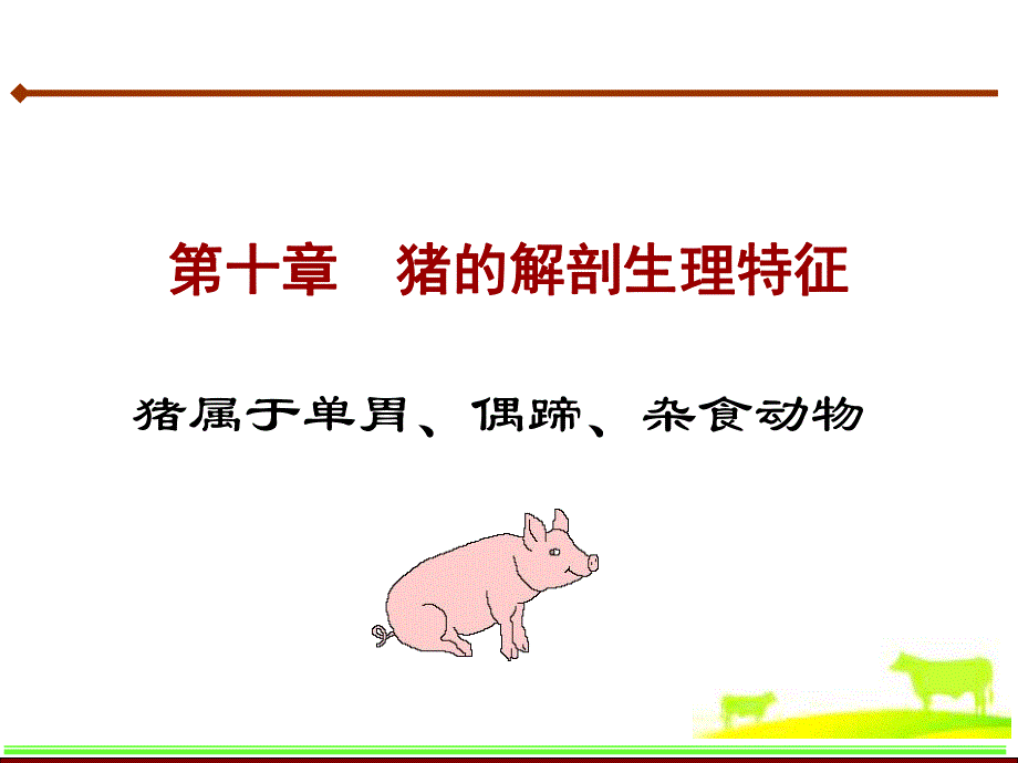 第十章猪的解剖生理特征.ppt_第1页