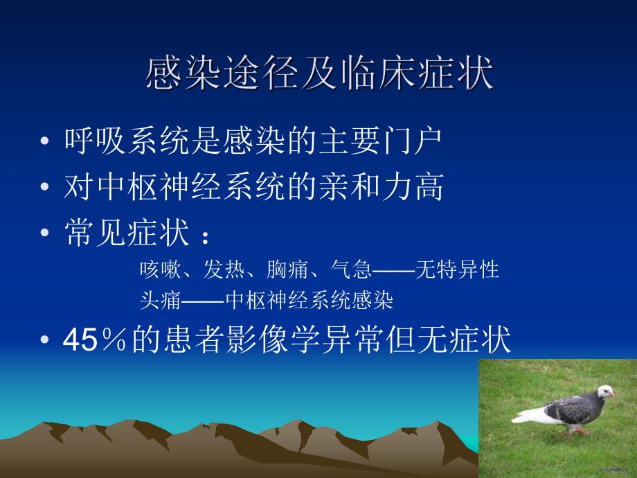 肺隐球菌病的CT诊断.ppt_第3页