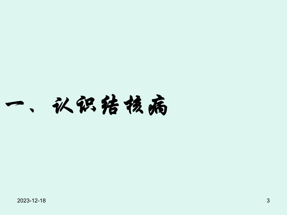 学校结核病防治讲座PPT.ppt_第3页