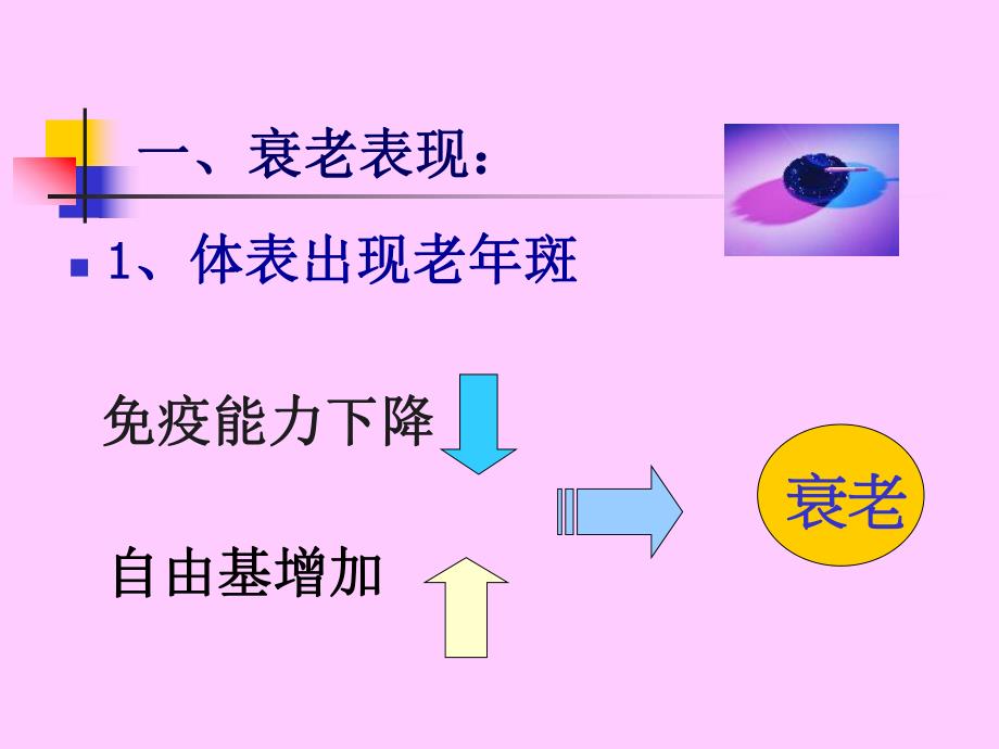 [精品]老营养保健常识讲座.ppt_第3页