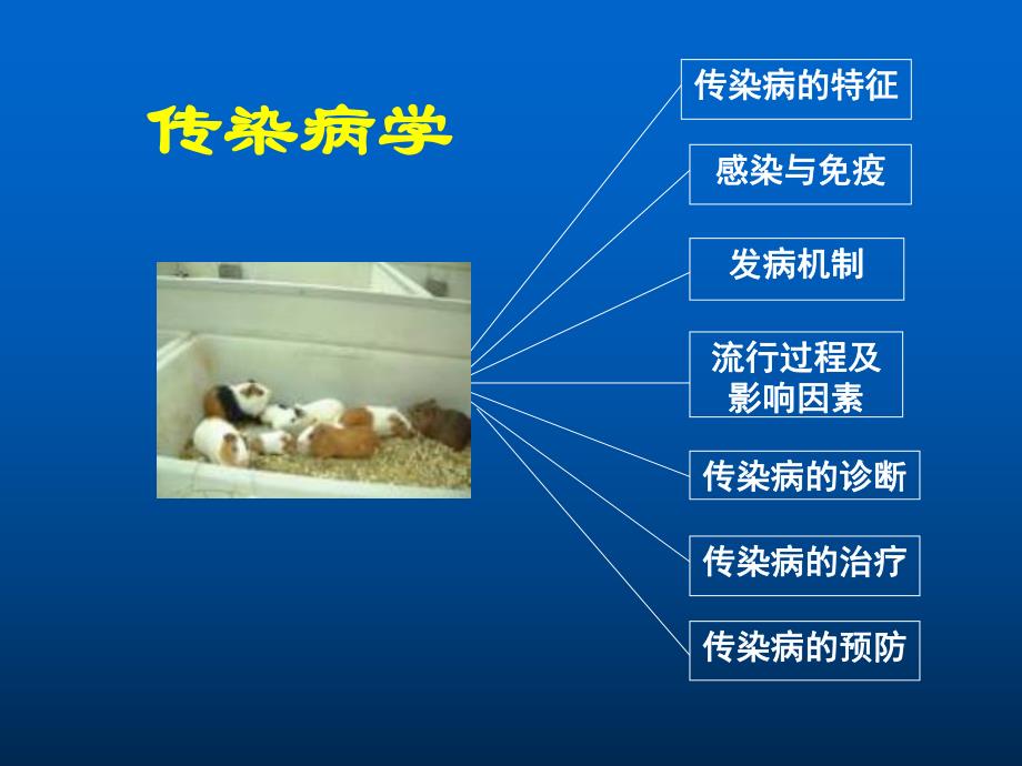 传染病总论.ppt_第2页