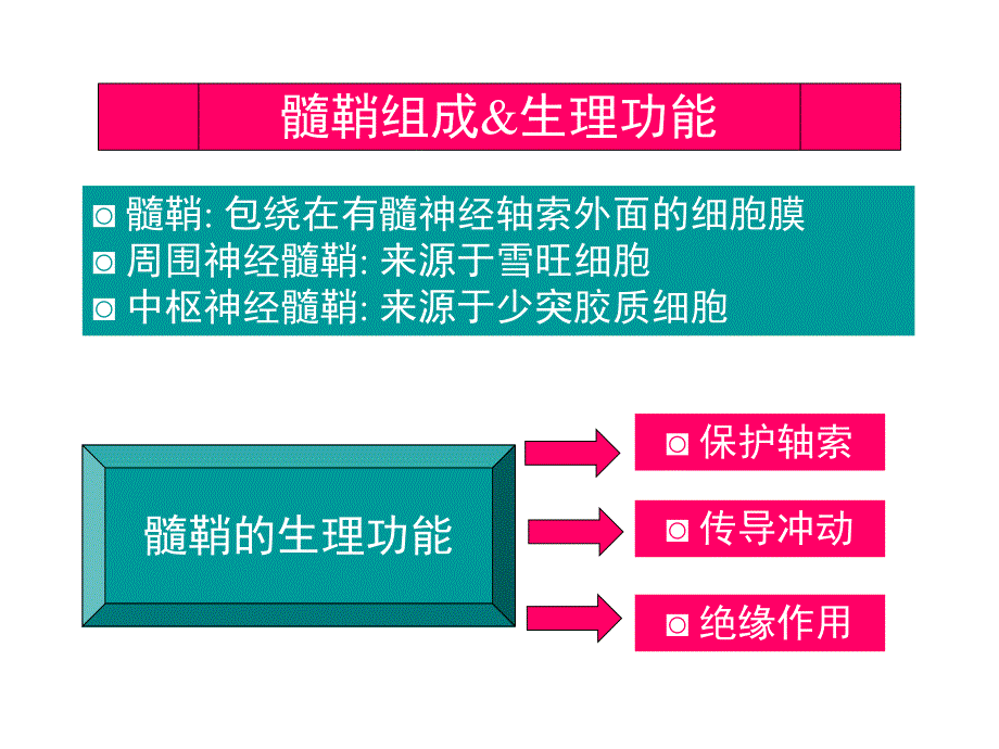 脱髓鞘疾病.ppt_第3页