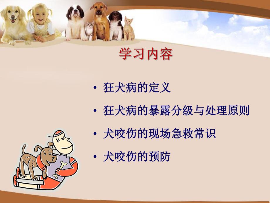 犬咬伤的急救常识与预防.ppt_第2页