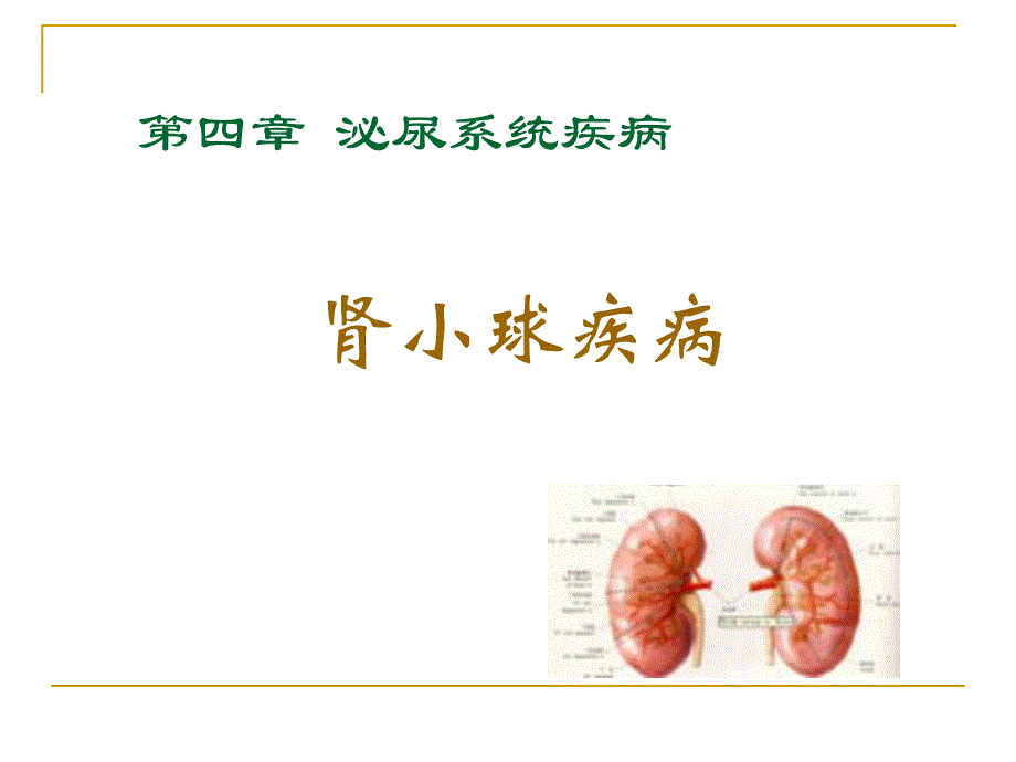 肾小球疾病ppt幻灯片.ppt_第1页