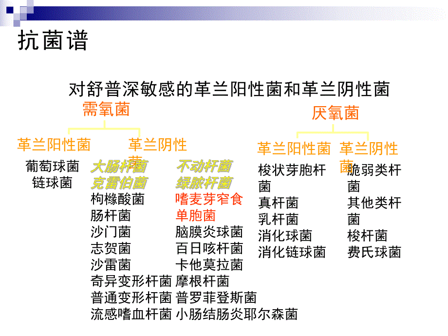 感染舒普深.ppt.ppt_第3页