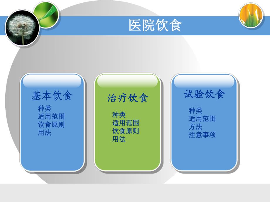 膳食与营养.ppt_第2页