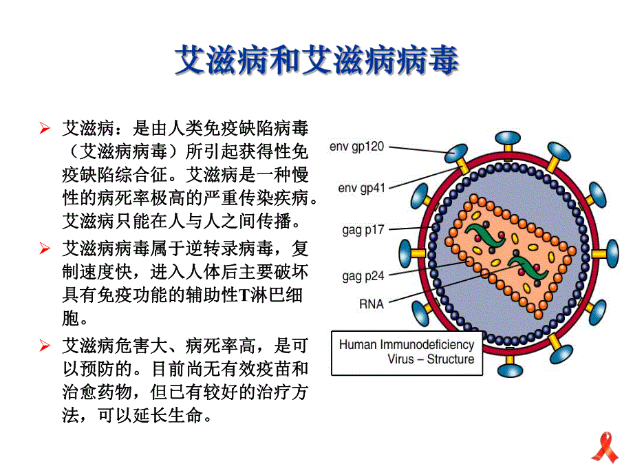 艾滋病预防.ppt_第3页