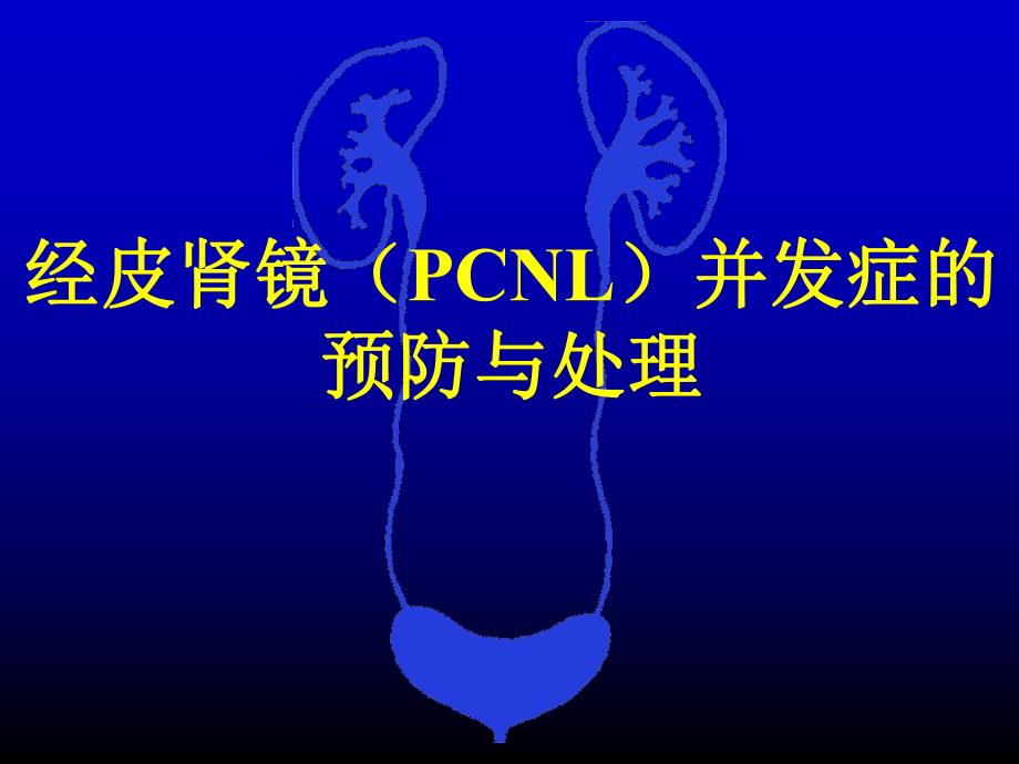 经皮肾镜取石术的并发症防治预防与处理.ppt_第1页