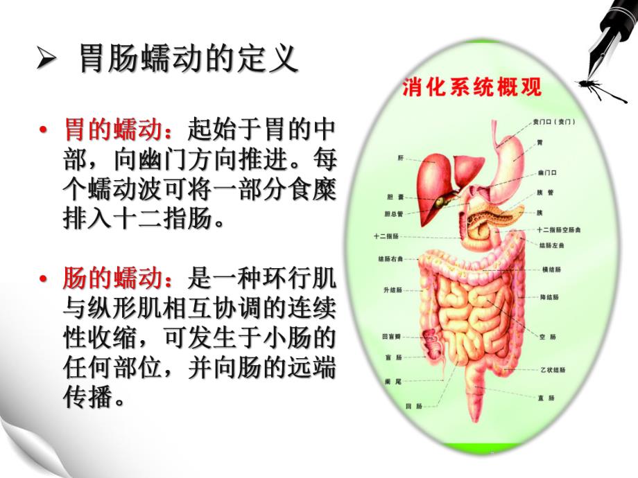 健康教育术后如何促进肠蠕动.ppt_第3页