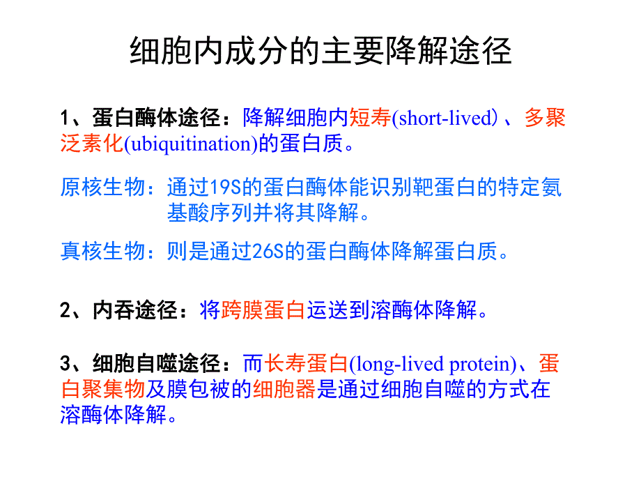 细胞自噬与疾病.ppt.ppt_第3页