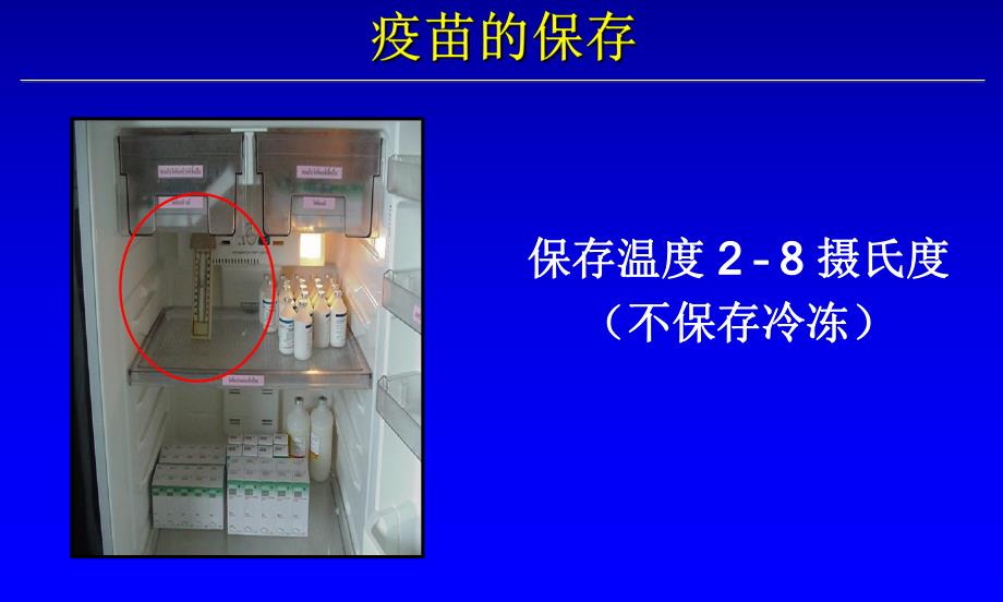 猪的疫苗注射注意事项.ppt_第3页