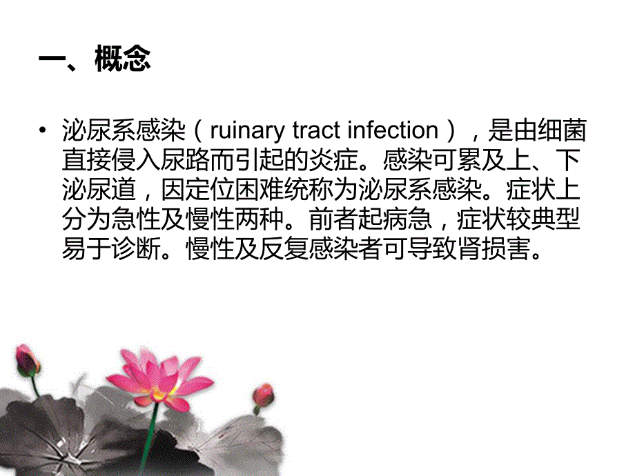 泌尿系感染.ppt_第3页