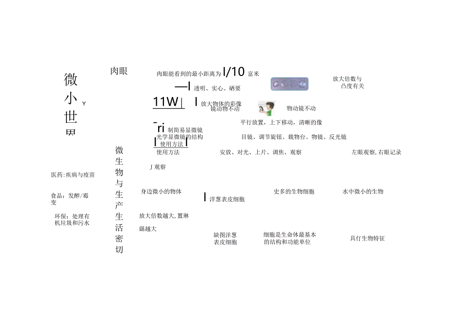 2021新教科版六年级上册科学全册单元知识点思维导图.docx_第3页