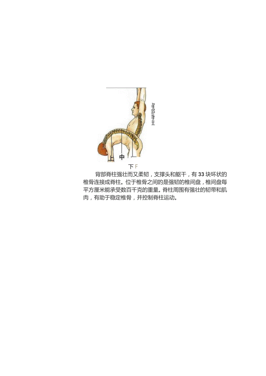 (新)图解男女人体器官及病理详解.docx_第3页