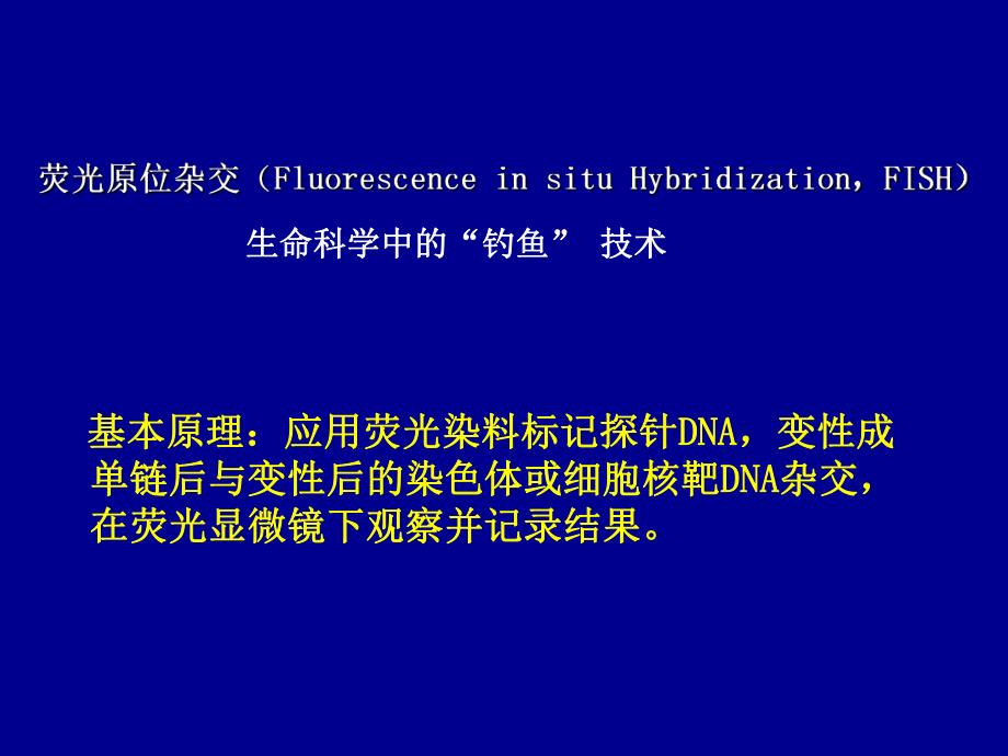 FISH技术临床应用.ppt_第2页