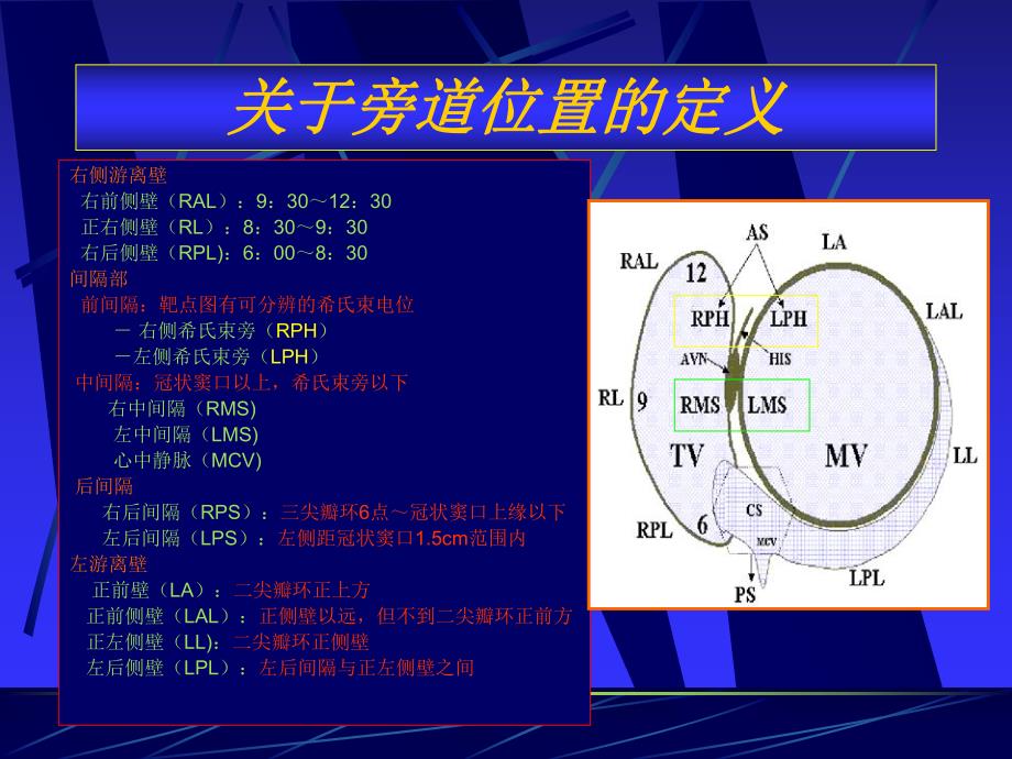 特殊房室旁道的射频消融.ppt_第2页