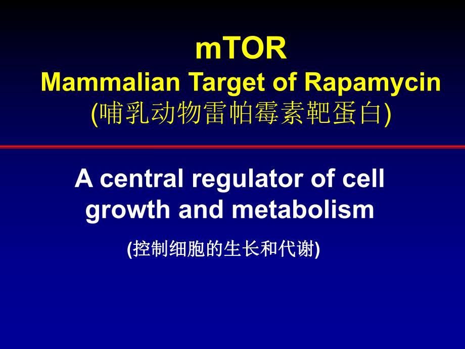 mTOR抑制剂在癌症治疗中的应用.ppt_第2页