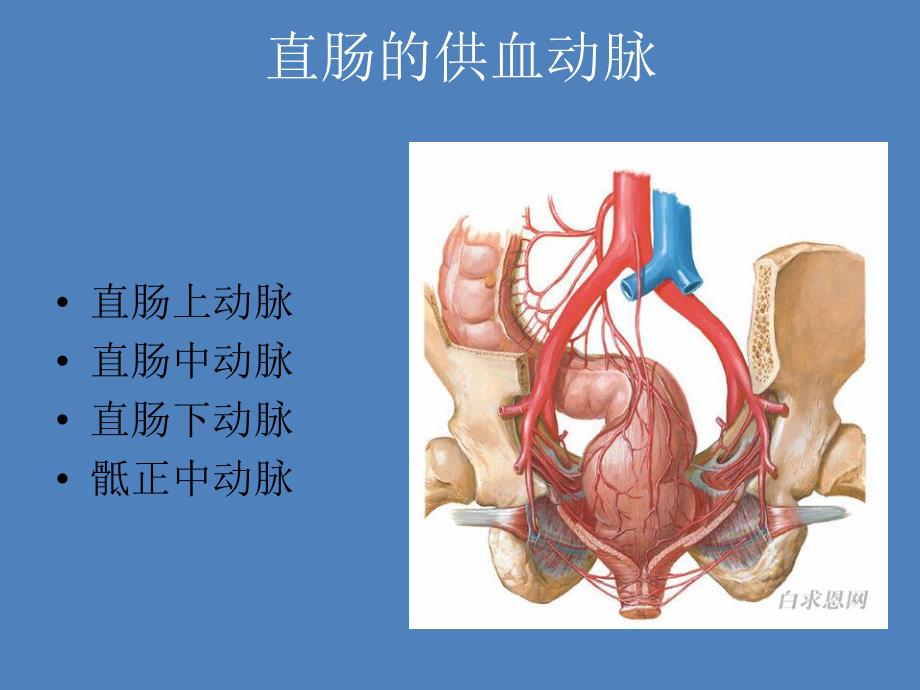 直肠癌术前分期.ppt_第3页